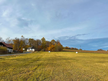 Prodej pozemku 2500 m², Bělá nad Radbuzou