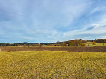 Prodej pozemku 2500 m², Bělá nad Radbuzou