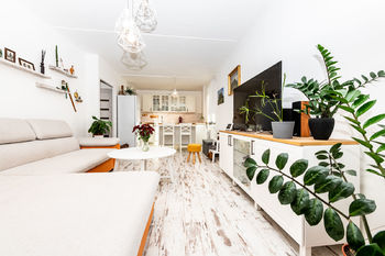 Obývací pokoj s kuchyňským koutem - Prodej bytu 3+kk v družstevním vlastnictví 63 m², Bílina 