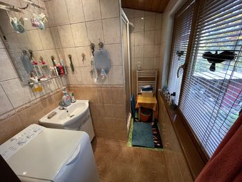 Koupelna se sprchovým koutem - Prodej chaty / chalupy 72 m², Mšecké Žehrovice