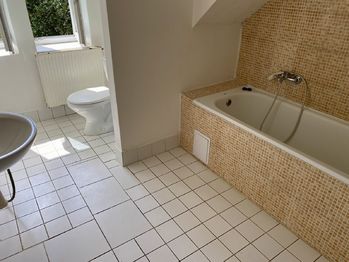 Koupelna - Pronájem bytu 1+1 v osobním vlastnictví 53 m², Třešť