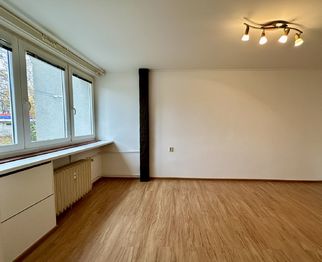 Prodej bytu 1+1 v družstevním vlastnictví, Praha 6 - Veleslavín