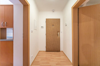 Prodej bytu 1+1 v osobním vlastnictví 41 m², Praha 3 - Vinohrady