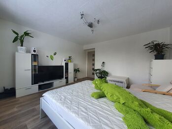 Prodej bytu 2+1 v osobním vlastnictví 62 m², Dolní Rožínka