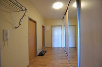 Pronájem bytu 1+kk v osobním vlastnictví 40 m², Holubice