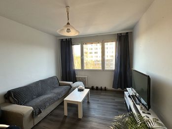 Prodej bytu 1+kk v osobním vlastnictví 28 m², Praha 4 - Braník