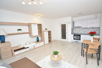 Pronájem bytu 1+kk v osobním vlastnictví 42 m², Praha 9 - Hloubětín