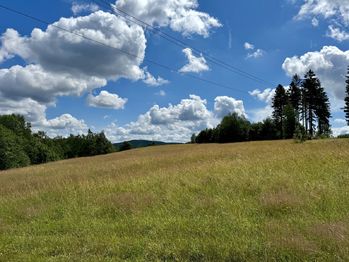 Prodej pozemku 9962 m², Jablonec nad Nisou