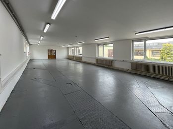 Pronájem výrobních prostor 231 m², Lišov