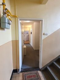 vstup do bytu - Prodej bytu 2+1 v osobním vlastnictví 53 m², Děčín