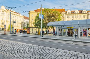 Ulice Milady Horákové s tramvajovou zastávkou - Pronájem bytu 3+1 v osobním vlastnictví 91 m², Praha 7 - Bubeneč