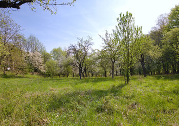 Prodej pozemku 2661 m², Březnice