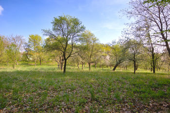 Prodej pozemku 2661 m², Březnice