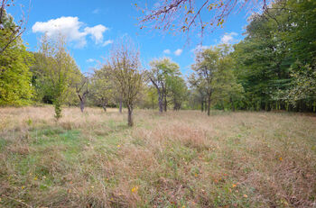 Prodej pozemku 2661 m², Březnice