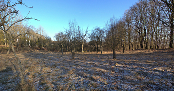 Prodej pozemku 2661 m², Březnice