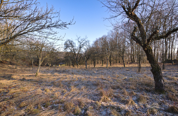 Prodej pozemku 2661 m², Březnice