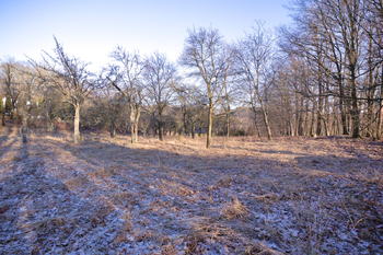 Prodej pozemku 2661 m², Březnice