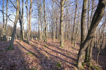 Prodej pozemku 2661 m², Březnice