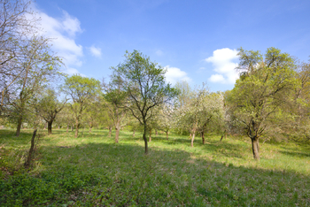 Prodej pozemku 2661 m², Březnice