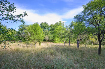 Prodej pozemku 2661 m², Březnice