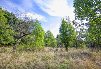 Prodej pozemku 2661 m², Březnice