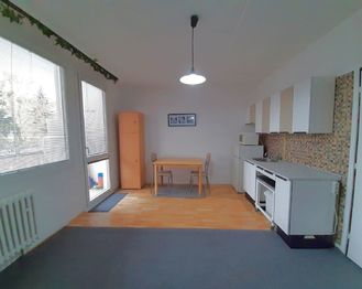 Pronájem bytu 1+kk v osobním vlastnictví 34 m², Plzeň
