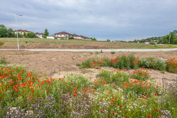 Prodej pozemku 826 m², Velké Přílepy