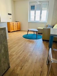 Pronájem bytu 1+1 v osobním vlastnictví 45 m², Znojmo