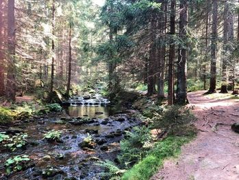 Prodej bytu v osobním vlastnictví 28 m², Železná Ruda