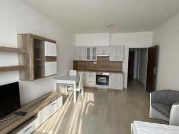pokoj s kuchyňským koutem - Pronájem bytu 1+kk v osobním vlastnictví 29 m², Plzeň