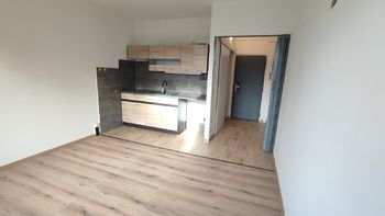 Pronájem bytu 1+1 v osobním vlastnictví 28 m², Velké Březno