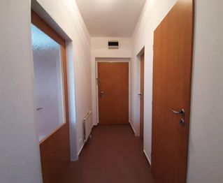 Pronájem bytu 1+kk v osobním vlastnictví 45 m², Plzeň