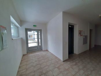 Pronájem bytu 1+kk v osobním vlastnictví 45 m², Plzeň