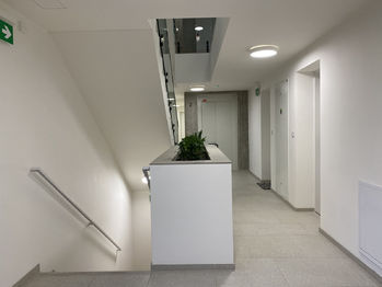 Pronájem bytu 1+kk v osobním vlastnictví 44 m², Liberec