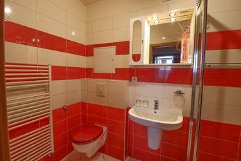 koupelna - Prodej bytu 2+1 v osobním vlastnictví 43 m², České Budějovice