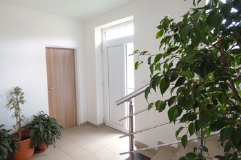 Pronájem bytu 1+kk v osobním vlastnictví 32 m², Libčice nad Vltavou
