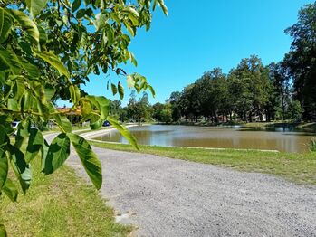 Prodej domu 70 m², Mladošovice