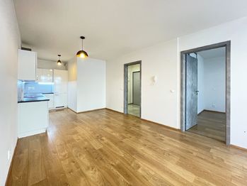 obývací pokoj s kuchyní - Pronájem bytu 2+kk v osobním vlastnictví 60 m², České Budějovice
