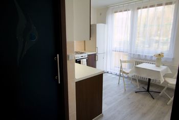 Pronájem bytu 1+1 v osobním vlastnictví 34 m², Brno