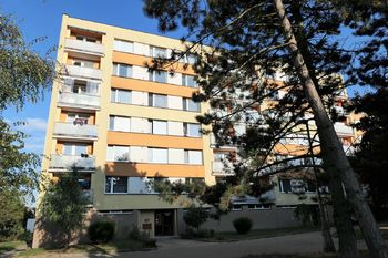 Pronájem bytu 1+1 v družstevním vlastnictví, Hradec Králové