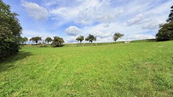 Prodej pozemku 2585 m², Jedlá