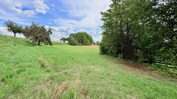 Prodej pozemku 2585 m², Jedlá
