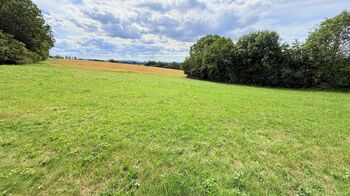 Prodej pozemku 2585 m², Jedlá