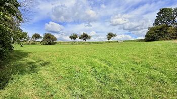 Prodej pozemku 2585 m², Jedlá