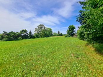 Prodej pozemku 8850 m², Pěnčín