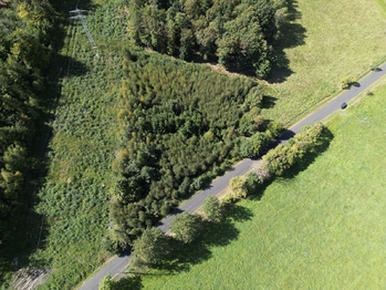 Prodej pozemku 15612 m², Malečov