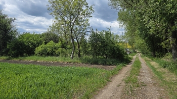 Zahrada za domem s přístupovou cestou - Prodej pozemku 3685 m², Kučerov
