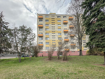 Byt 3+1 - Prodej bytu 3+1 v osobním vlastnictví, Brno