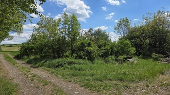 Zahrada za domem - Prodej domu 150 m², Kučerov