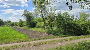 Zahrada za domem - Prodej domu 150 m², Kučerov
